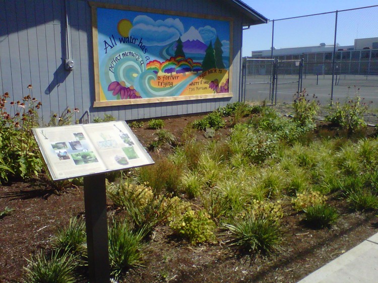 Established garden at one year old.