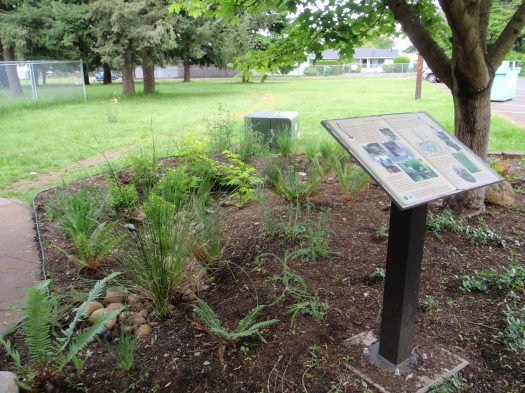 Watershed Division staff and AmeriCorps volunteers.  Maintained by Snow Cap staff and volunteers. Captures and infiltrates 10,000 gallons of roof runoff per year.  Project managed by Jamie Stamberger.