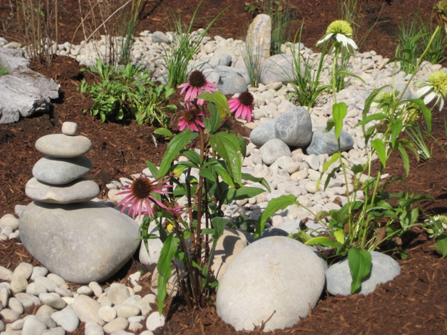 Residential rain garden